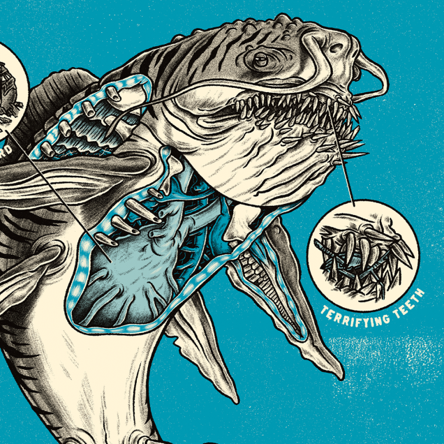 Monster Anatomy 101 (Non-Foil)